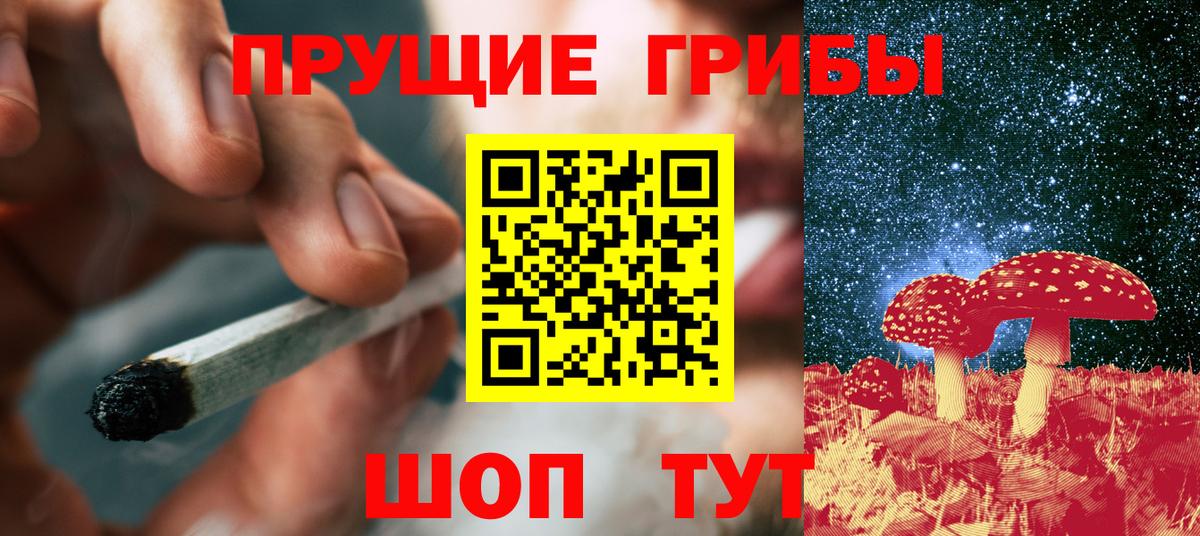 купить наркотики сайты  Галлюциногенные грибы ЛСД  Вход с VPN  Выкса  Галлюциногенные грибы Cubensis 