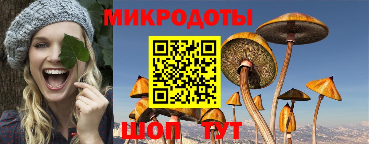 Псилоцибиновые грибы мухоморы Выкса